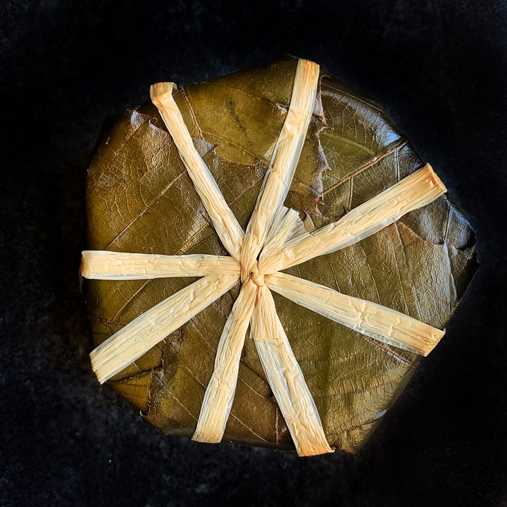 a goat cheese wrapped in leaves like a little present