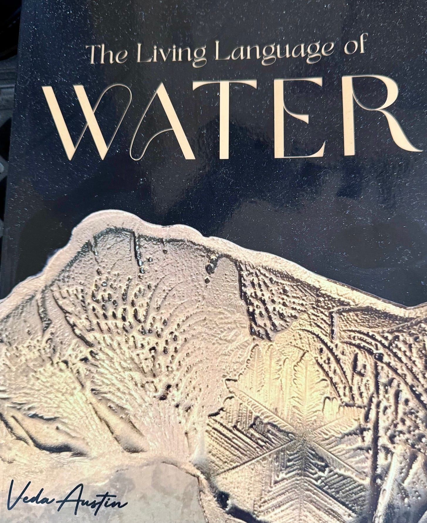 Cover of Veda Austin's book, "The Living Language of Water"