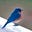 Lew Kline's avatar