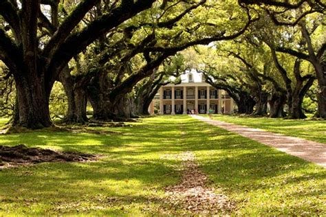 Plantation Plantation