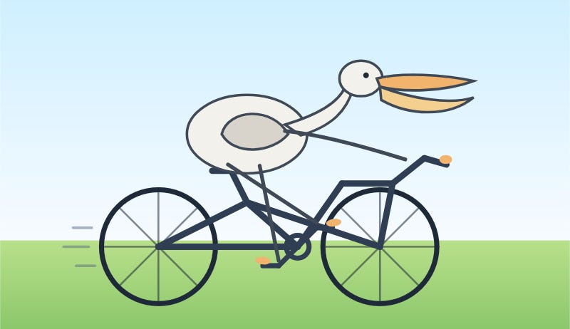 Whimsical flat illustration of a white pelican riding a dark blue bicycle at speed, with motion lines behind it, its long orange beak streaming back in the wind, set against a light blue sky and green grass background.