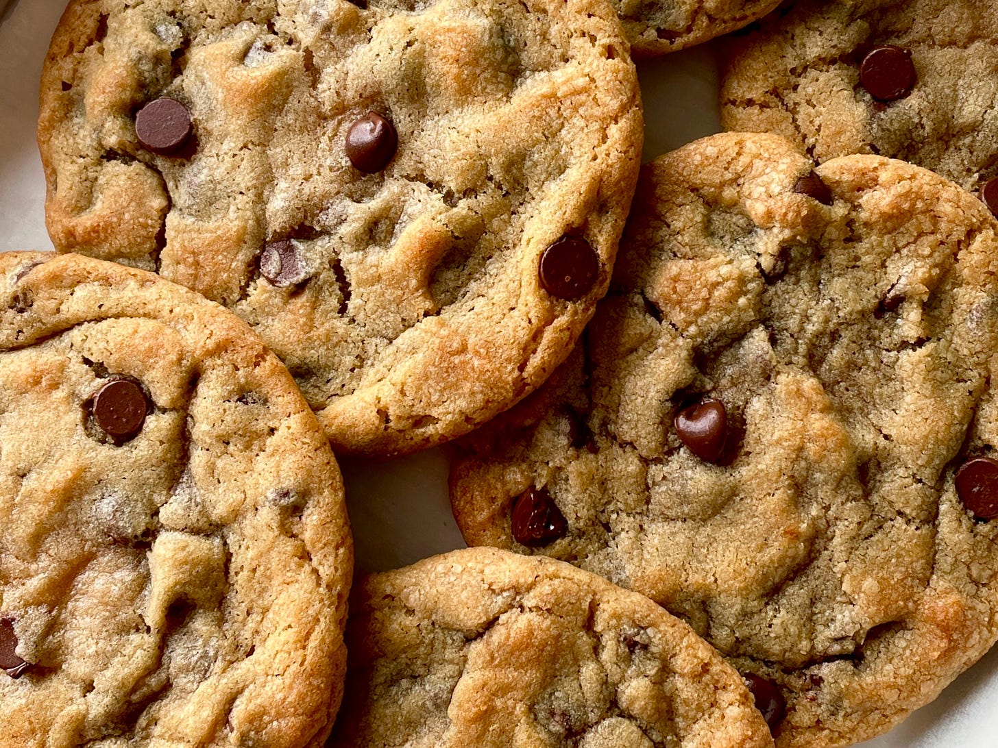 chocolate chip cookies