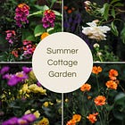 Summer Cottage Garden