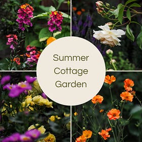 Summer Cottage Garden