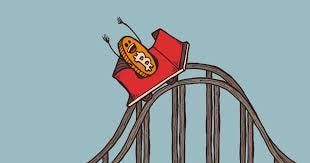 The 5 things I learnt after investing in Crypto for 1 year | by Dhruv Shan  | The Capital | Medium