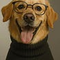 Dogs Blog's avatar