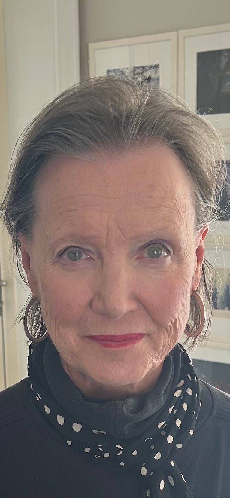 About - Diane Francis