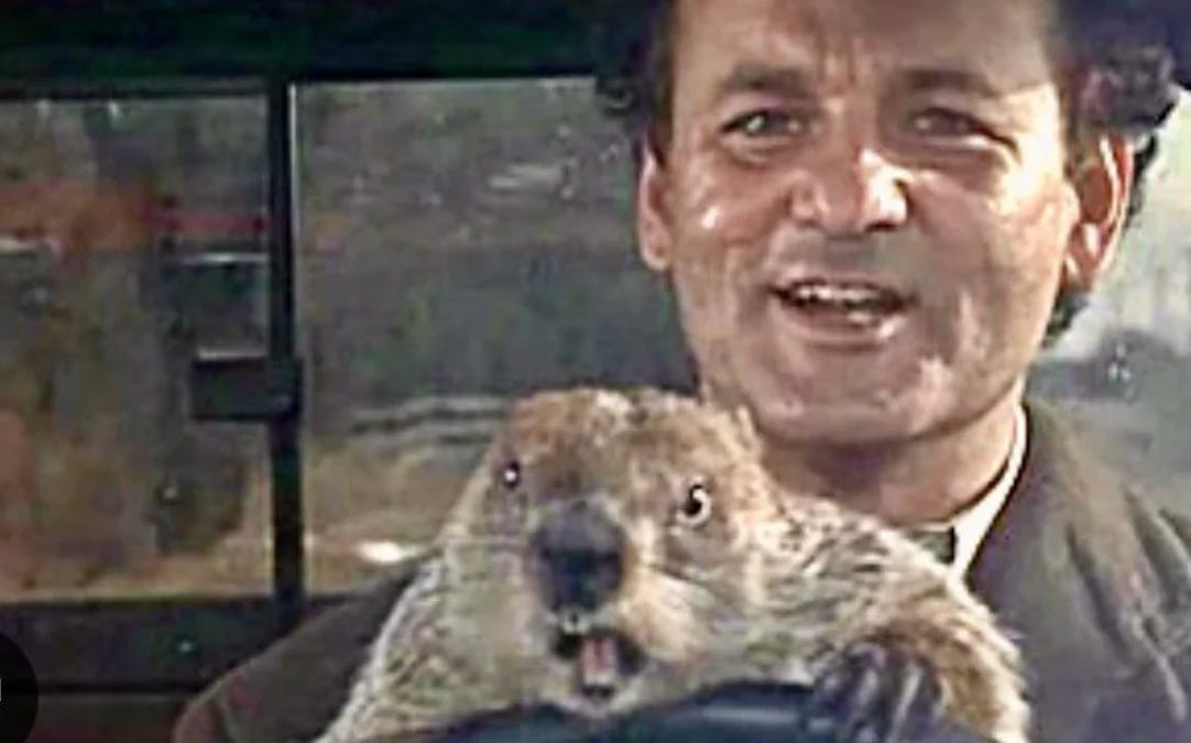 Save the pope, Vatican groundhogs, and ‘salus animarum’