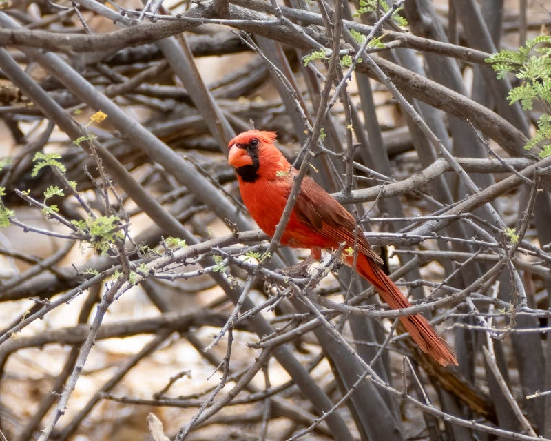 20250531-mby-17-Edit.jpg 20250531-mby-17-Edit.jpg