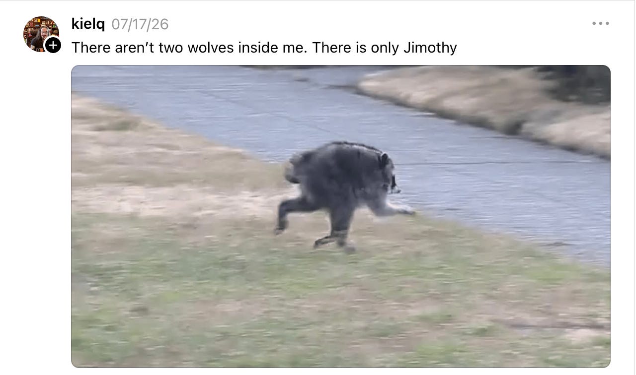 A post on Threads by kielq: There aren't two wolves inside me. There is only Jimothy. With a photo of Jimothy the raccoon running away. A post on Threads by kielq: There aren't two wolves inside me. There is only Jimothy. With a photo of Jimothy the raccoon running away.