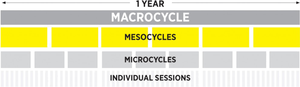 1-year-training-plan-myswimpro