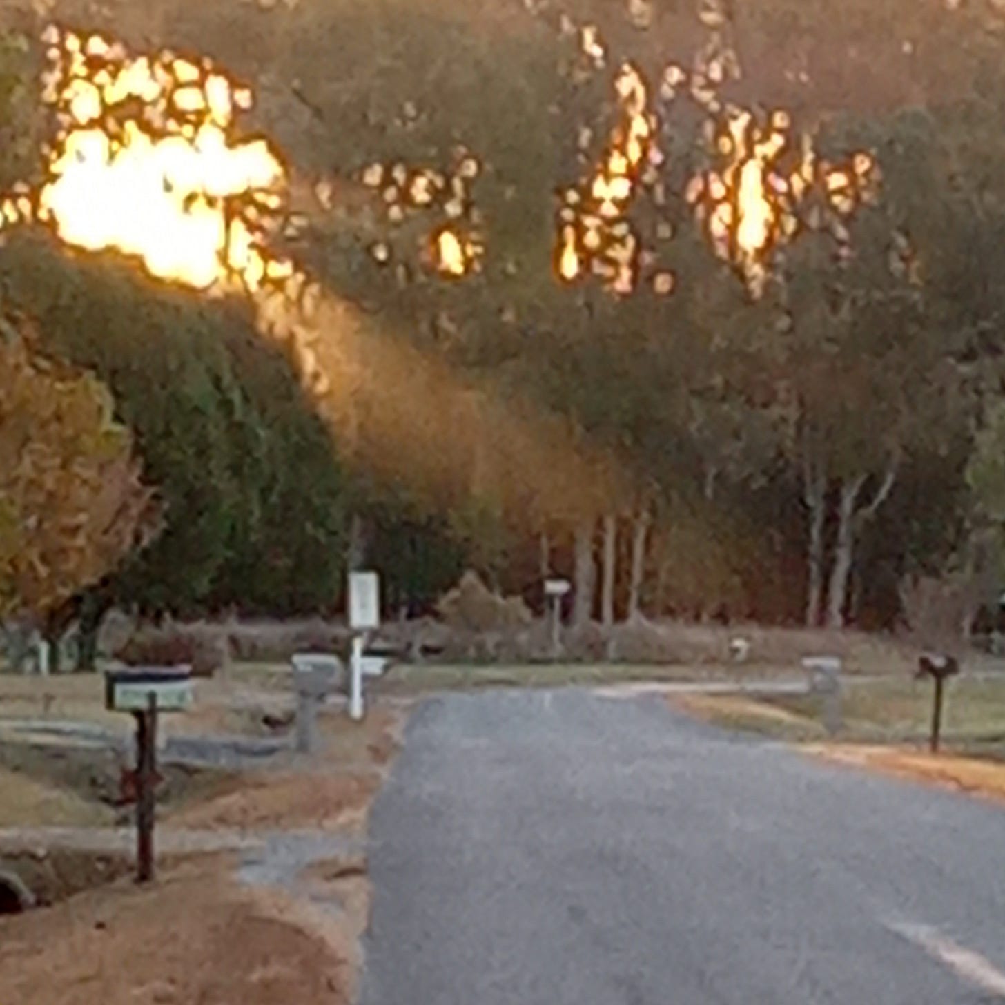 A quiet country road lined with mailboxes and trees, bathed in the warm glow of sunrise, symbolizes the journey of walking the same path with a fresh perspective.