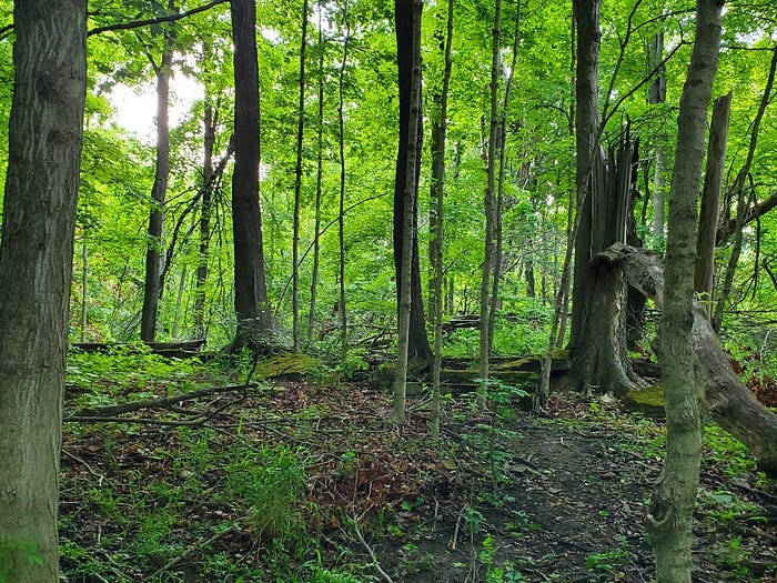 Chain O’ Lakes State Park