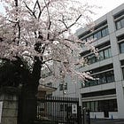 朝7時開門、99%が反対した。