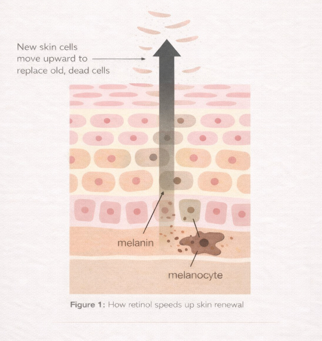 Retinol speeding skin renewal