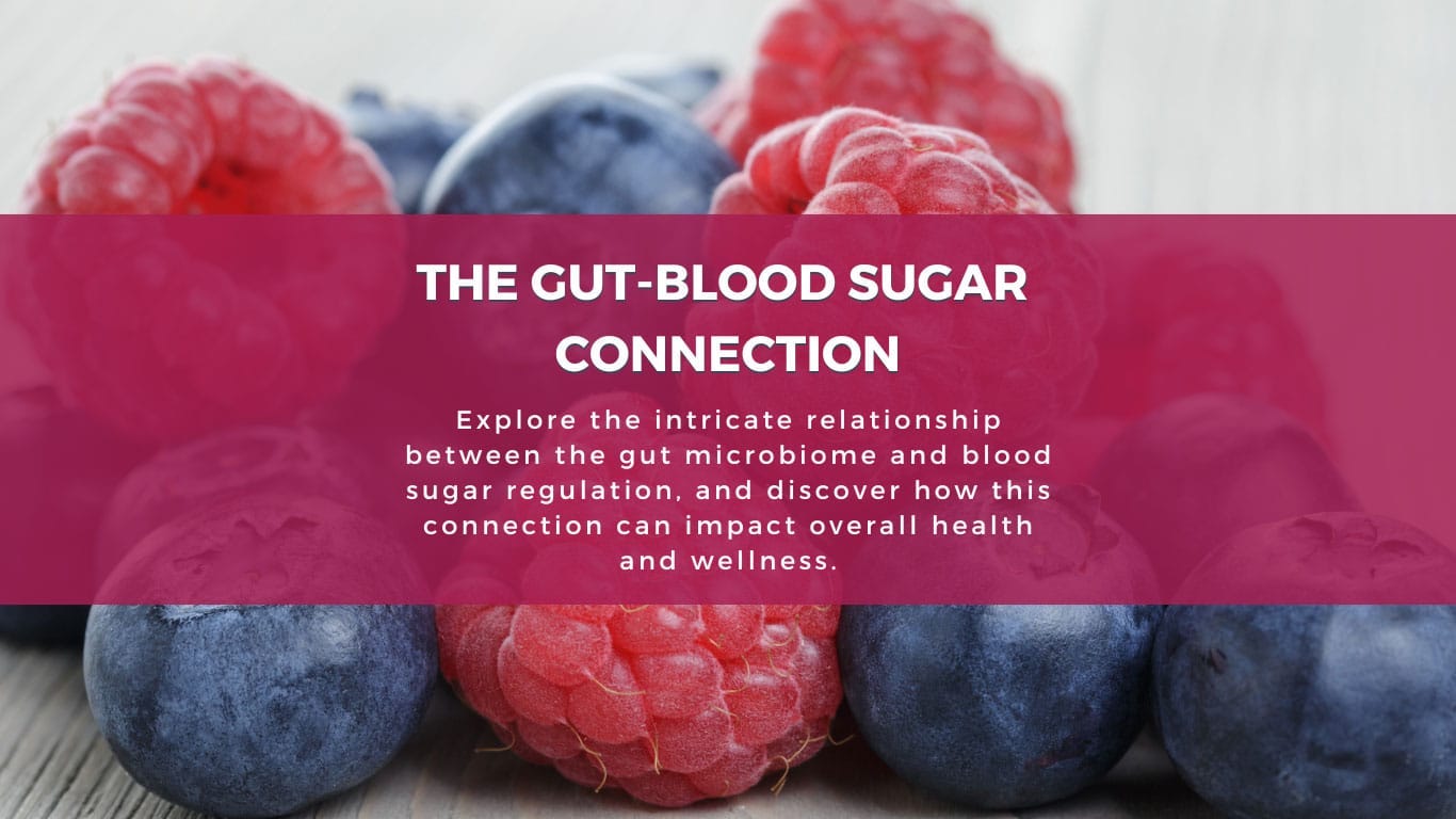 gut blood sugar connection