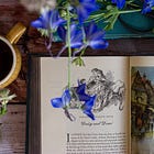 The Link Between Gossip & the Love of Story