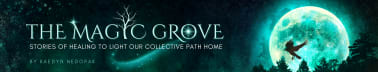 The Magic Grove