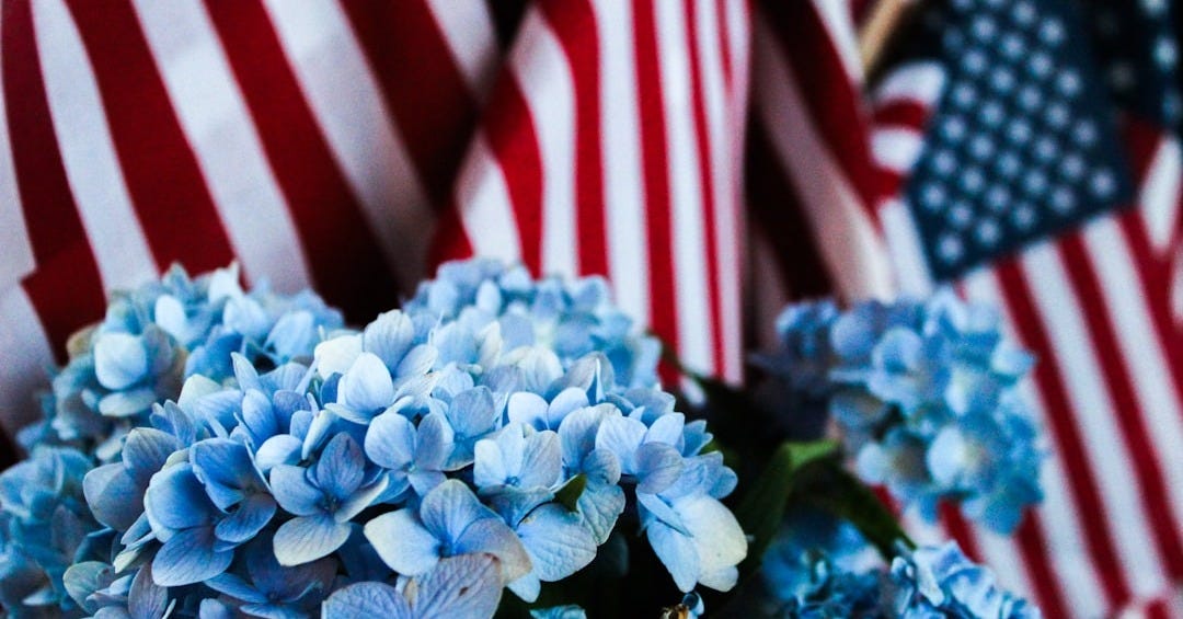 a bunch of blue flowers in front of american flags