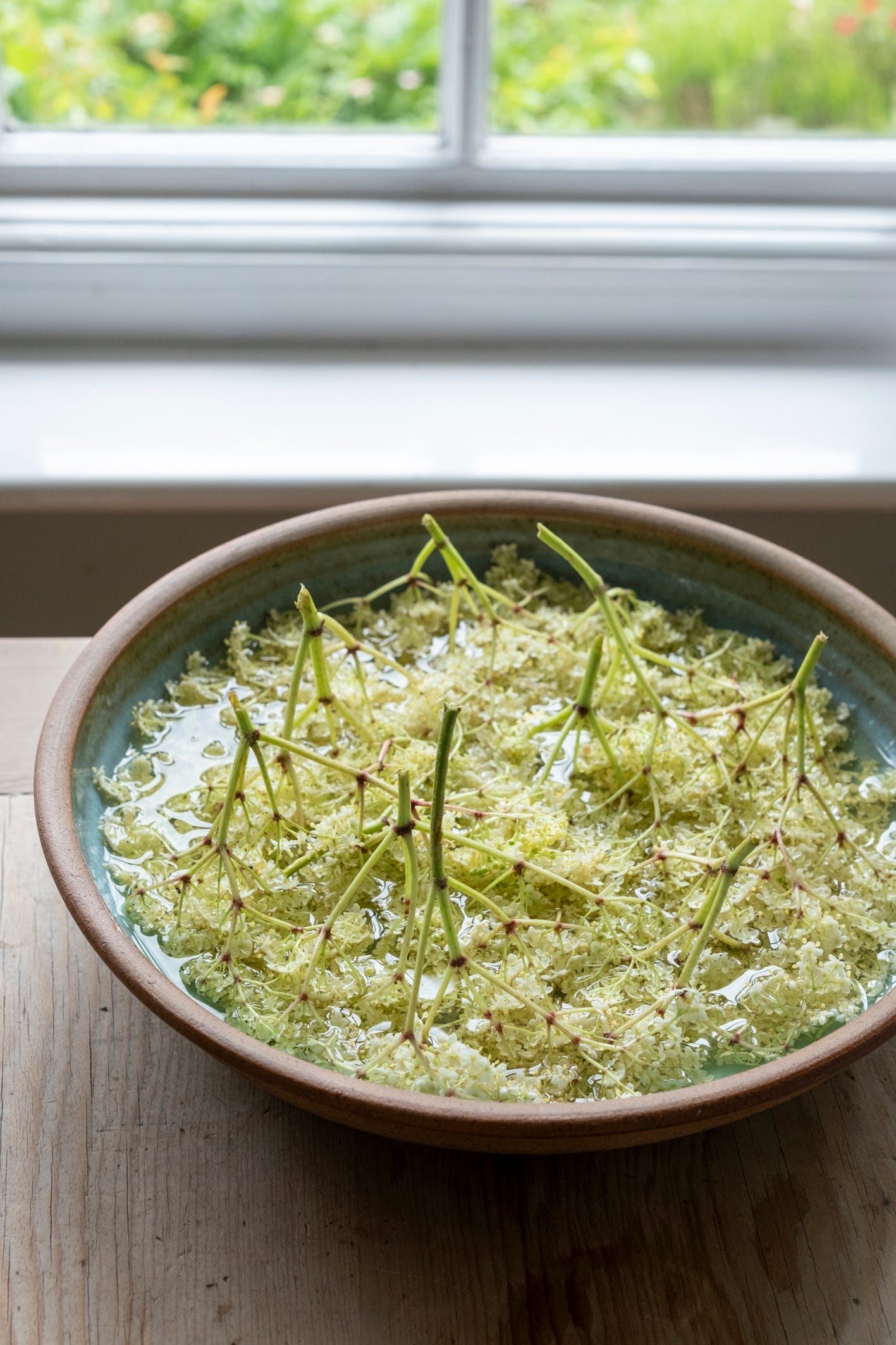 Elderflower infusing in gin