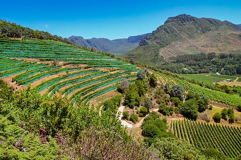 Stellenbosch, South Africa