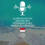 Premium Radio @Monaco