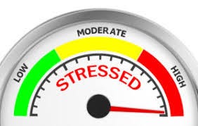 E-360 Edition 29: Epilepsy, Memory and Stress - Epilepsy Action Australia
