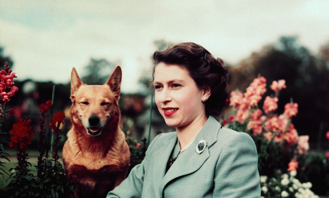 Susan Dog All the Royal Doggos: Queen Elizabeth II’s Susan