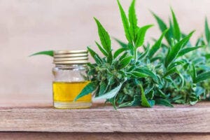 Oral Surgery With Natural Antibiotics (Narcotic- and Steroid-Free) | Oral Surgery With Natural Antibiotics (Narcotic- and Steroid-Free)