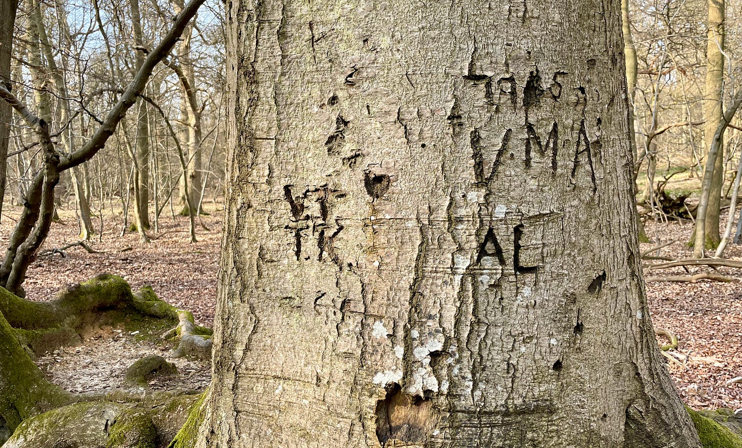 tree initials tree initials