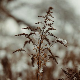 Between Seasons