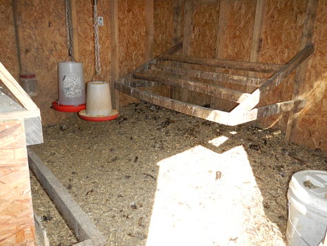 chicken coop spring cleaning