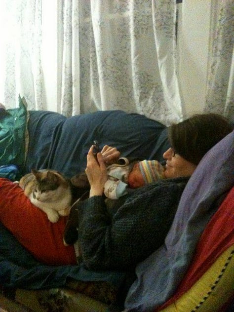 Siamese kitten on the lap of an older white woman on a sofa; mom, baby and cat resting on another messy sofa (the mom is on her phone); black floppy eared dog and a woman's feet on a sofa
