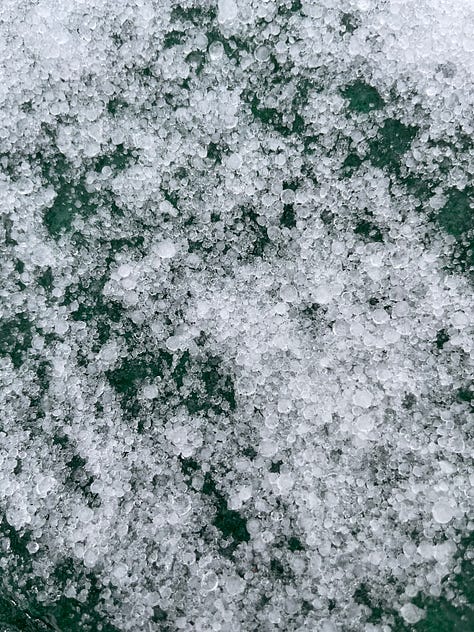 Image 1: close-up of sleet, which looks like a cluster of round balls of ice, Image 2: Landscape covers with sleet on them, Image 3: a human hand holding an oak leaf covered in a layer of ice, Image 4: leaves covered in a thin layer of ice, but the sun is shining on them, Image 5: the same leaves now without the ice covering them, Image 6: a hand holding the ice cast that had been on the leaves, Image 7: magnolia leaves covered in ice, Image 8: one of the leaves with the ice removed, Image 9: the ice cast of the magnolia leaf