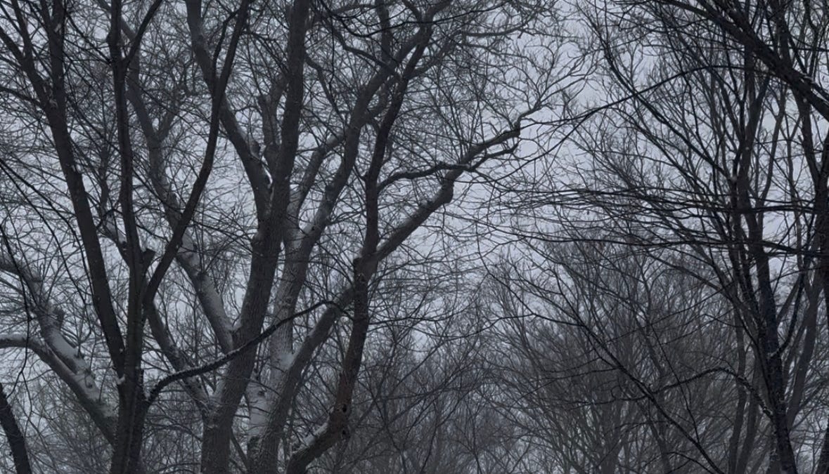 Closing out tabs: Saturday version