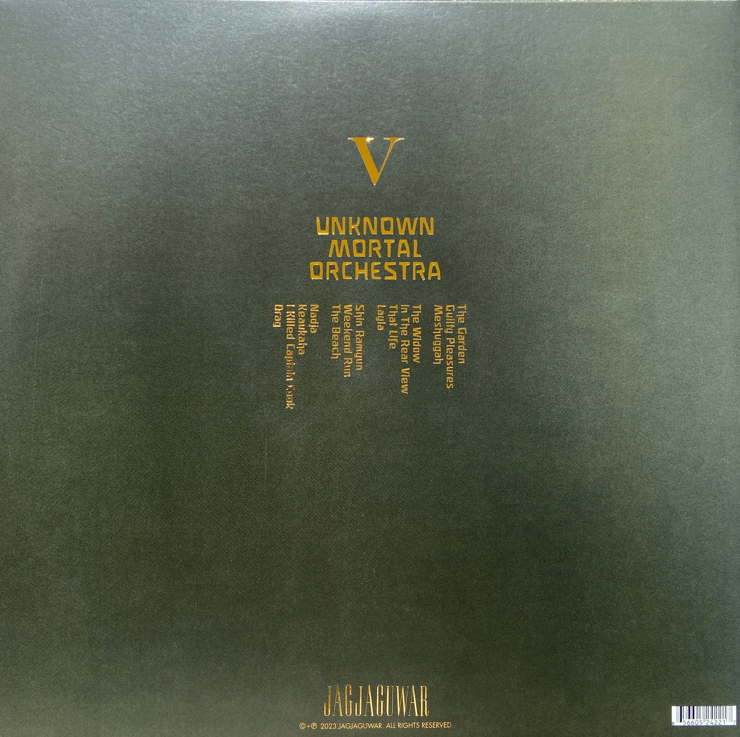 Unknown Mortal Orchestra's V - by Shanté