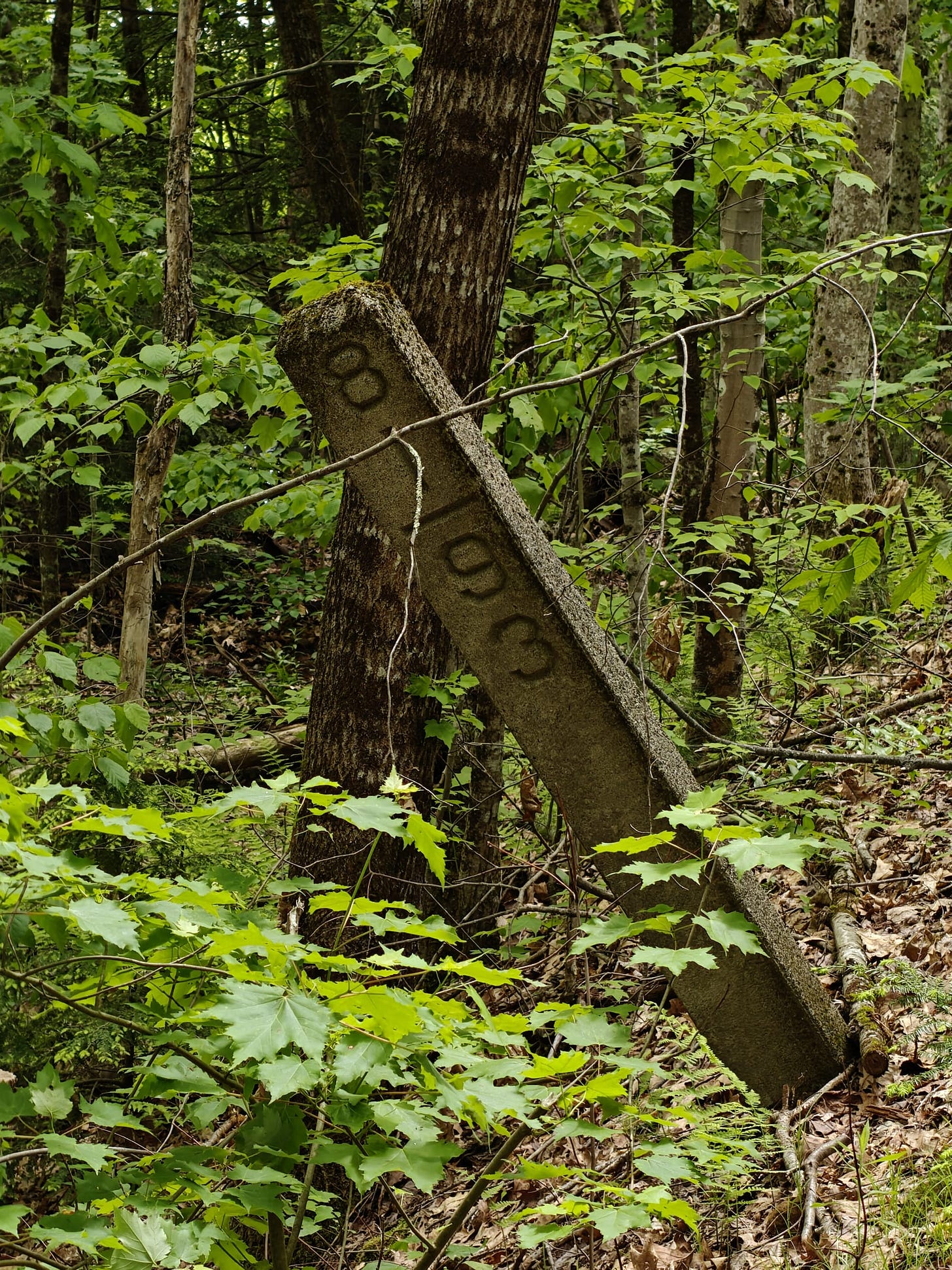 A Trek Along the Cocheco Railroad