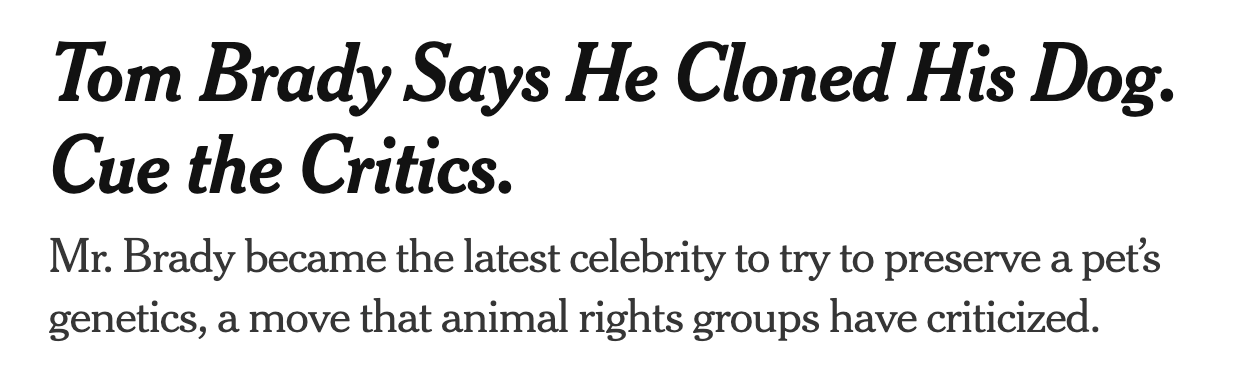 Tom Brady Says He Cloned His Dog. Cue the Critics. Mr. Brady became the latest celebrity to try to preserve a pet’s genetics, a move that animal rights groups have criticized