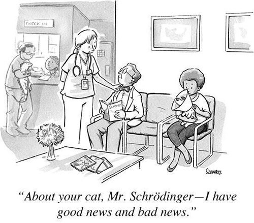 Memebase - schrodingers-cat - All Your Memes In Our Base - Funny Memes -  Cheezburger