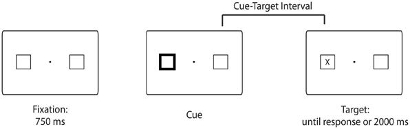 Frontiers | Measuring attention using the Posner cuing paradigm: the role  of across and within trial target probabilities