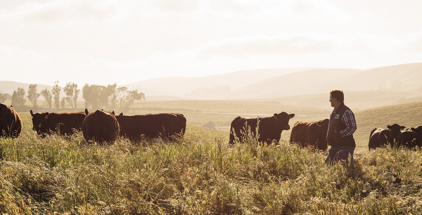 No photo description available.