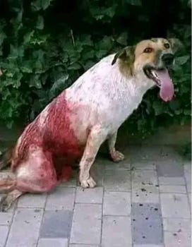 pastedGraphic_7.png pastedGraphic_7.png