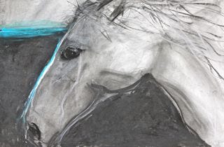 A - Horse Head A - Horse Head