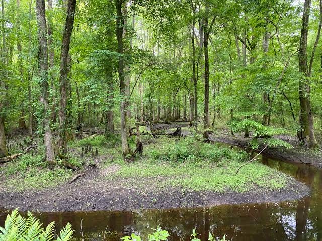 National Park Service studying potential Heritage Area centered around the  Great Dismal Swamp