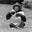 Nim Chimpsky's avatar