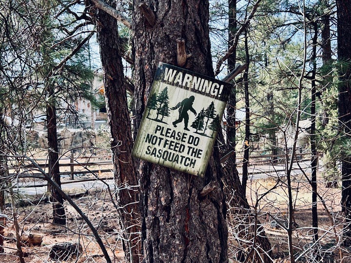 signs, walkway, trees