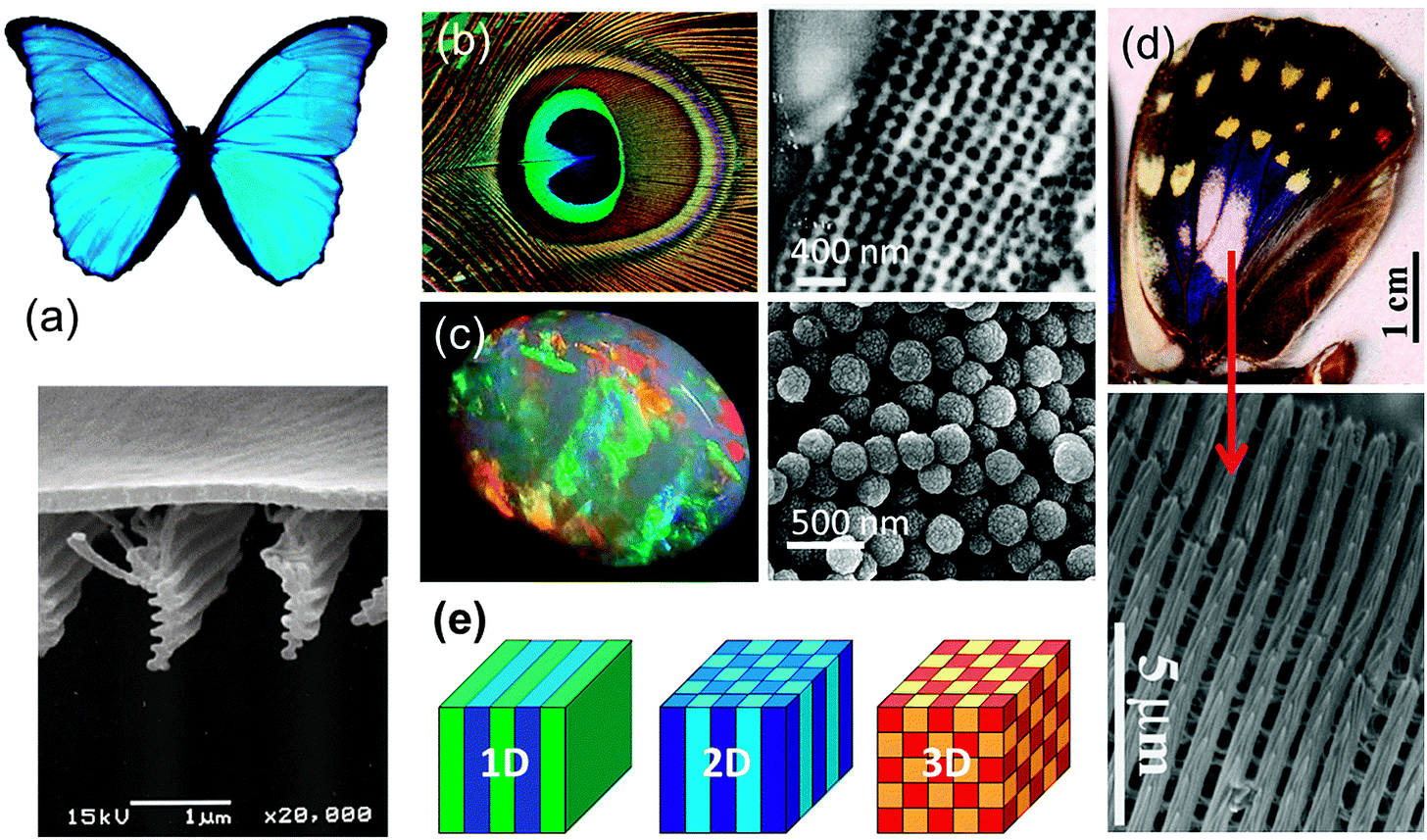 Artificial opal photonic crystals and inverse opal structures – fundamentals and applications from optics to energy storage - Journal of Materials Chemistry C (RSC Publishing) DOI:10.1039/C5TC01083G Artificial opal photonic crystals and inverse opal structures – fundamentals and applications from optics to energy storage - Journal of Materials Chemistry C (RSC Publishing) DOI:10.1039/C5TC01083G