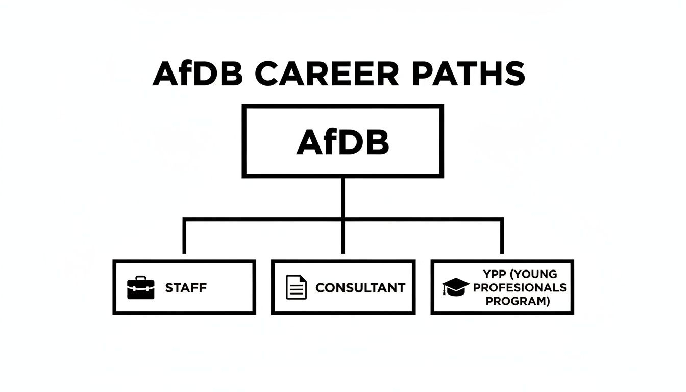 Flowchart illustrating career paths at the African Development Bank (AfDB), including staff, consultant, and young professionals program options.