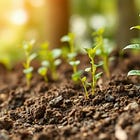 Drones, Plant health, Input Costs, Water Use, and Variable Rate Applications