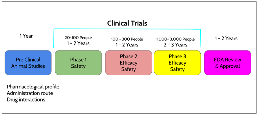 Clinical Trail Phases | JLI Blog
